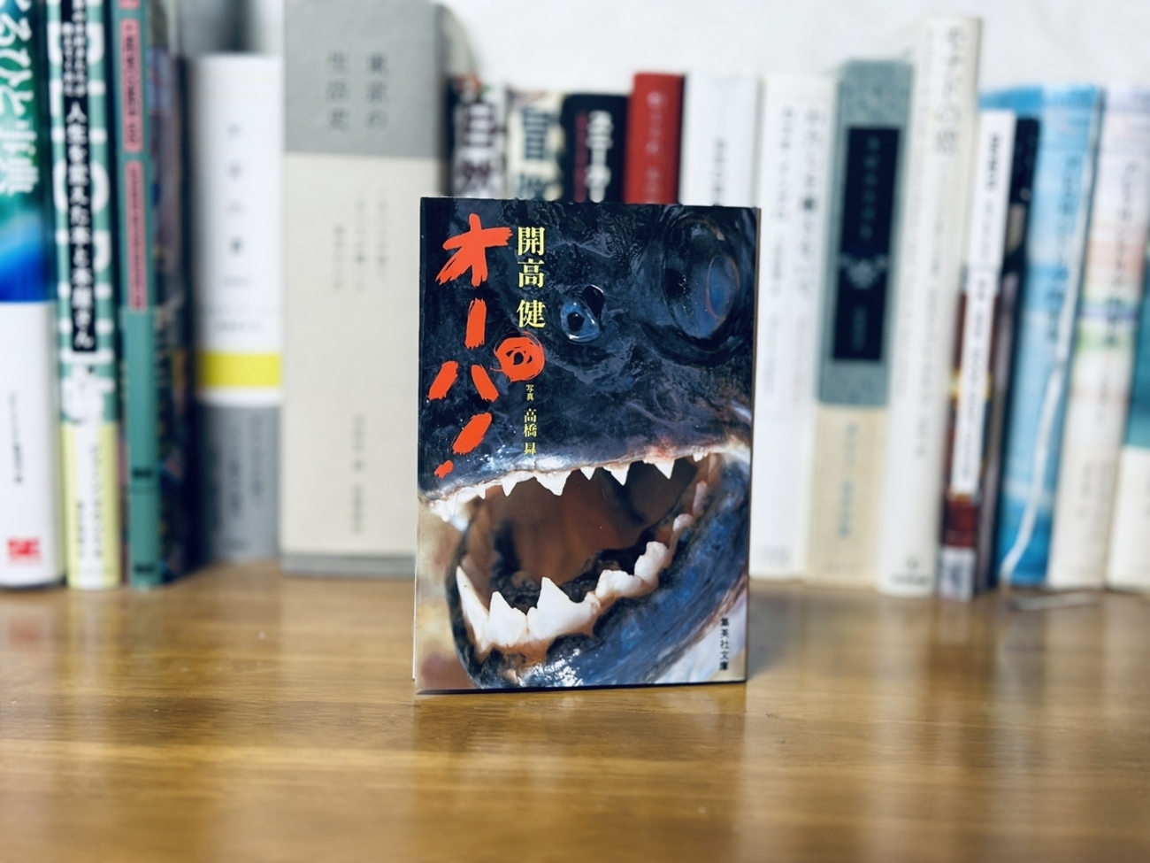 オーパ、オーパ ! 開高健　世界釣り冒険王　１１冊！ 釣り紀行本の名著・開高健「オーパ！」完全復刻！！ 限定グッズ