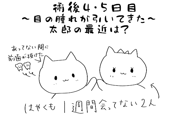 モヤモヤ病とは サイエンスの人気 最新記事を集めました はてな モヤモヤ病とは サイエンスの人気 最新記事を集めました はてな