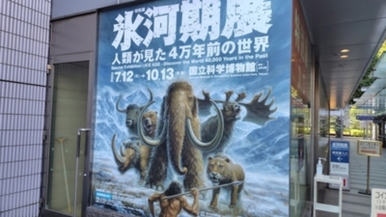【希少】氷河時代の王者 大マンモス展 パンフレット 昭和レトロ 氷河時代の王者 大マンモス展 ソ連科学アカデミーコレクション / 古本