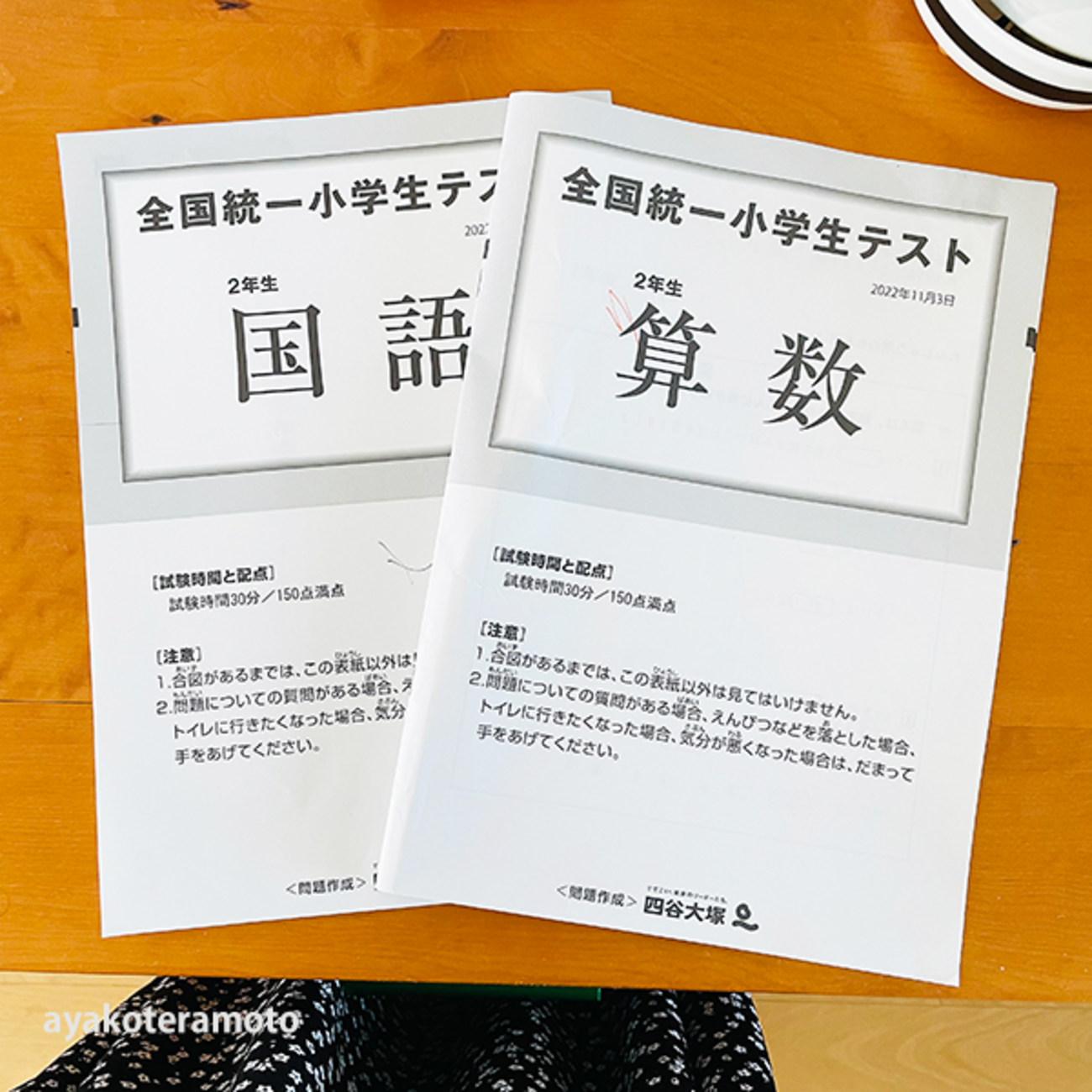 全国統一小学生テストの自己採点（2022年11月＊小2）】今後の課題や 