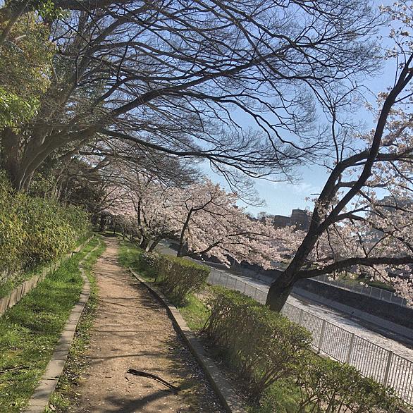 三毛別羆事件とは 社会の人気 最新記事を集めました はてな 三毛別羆事件とは 社会の人気 最新記事を集めました はてな