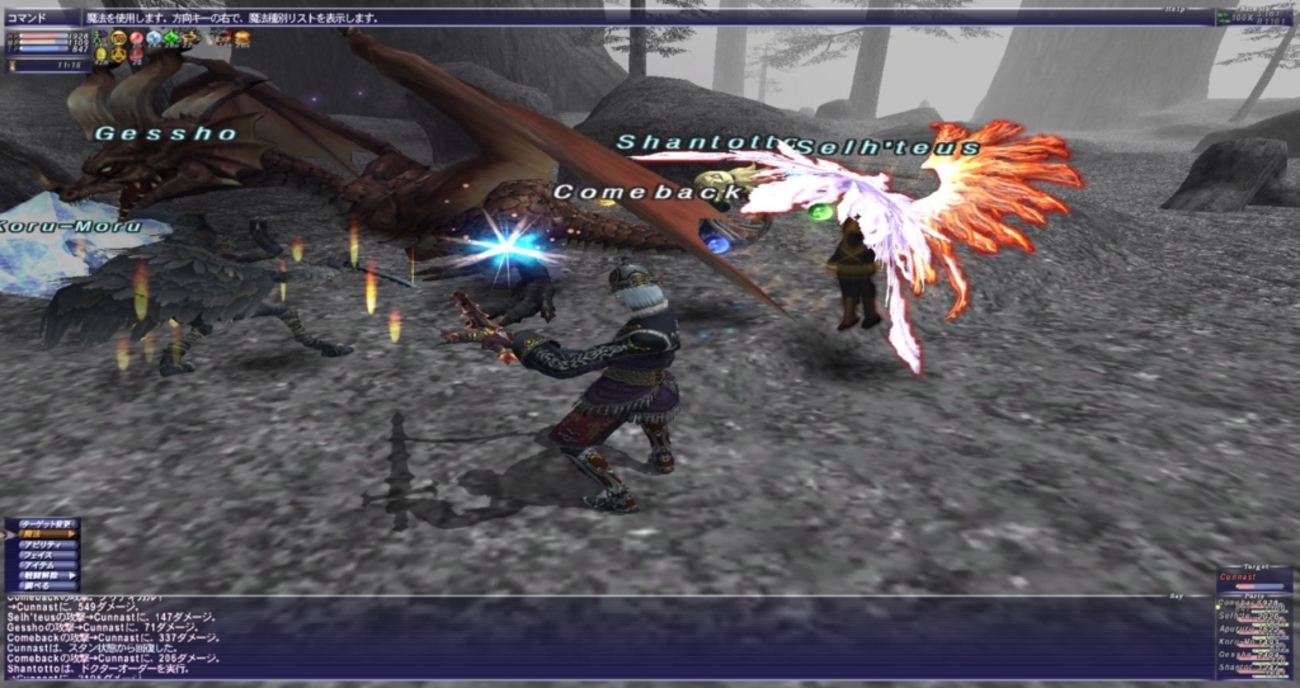 FF11 本格的に経験値稼ぎやメリポ、キャパポ稼ぎを行なう前にやっておきたいこと - Return to the FF11 ！！