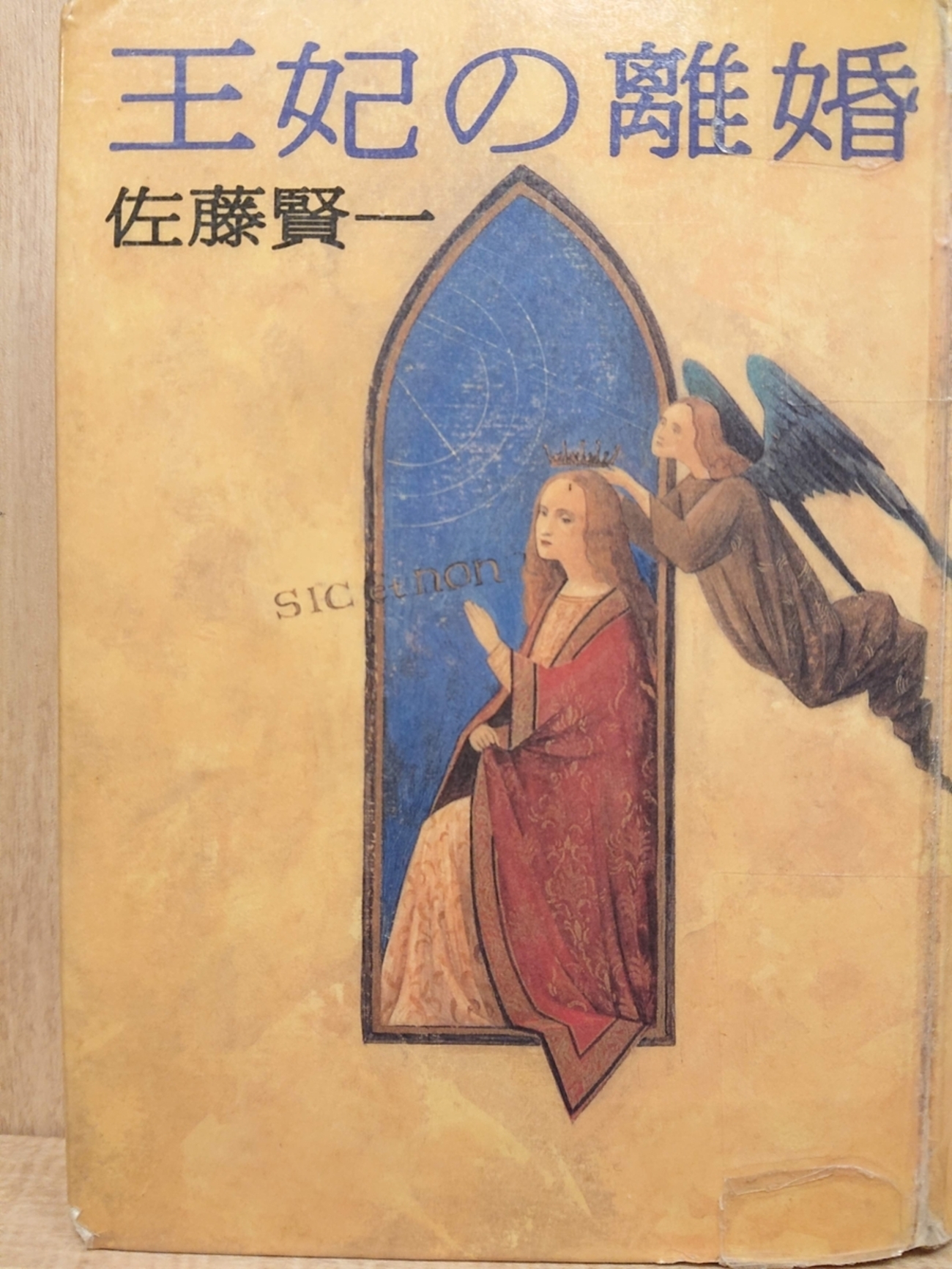 王妃の離婚』 by 佐藤賢一 - Megurecaのブログ