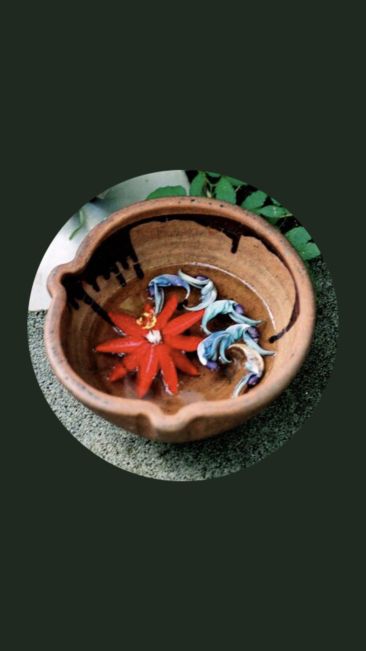 13 11 01から1ヶ月間の記事一覧 ニューロサイエンスとマーケティングの間 Between Neuroscience And Marketing