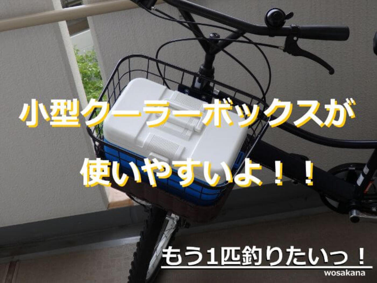 釣具】小型クーラーボックスが使いやすいよ！！軽いから楽だしね