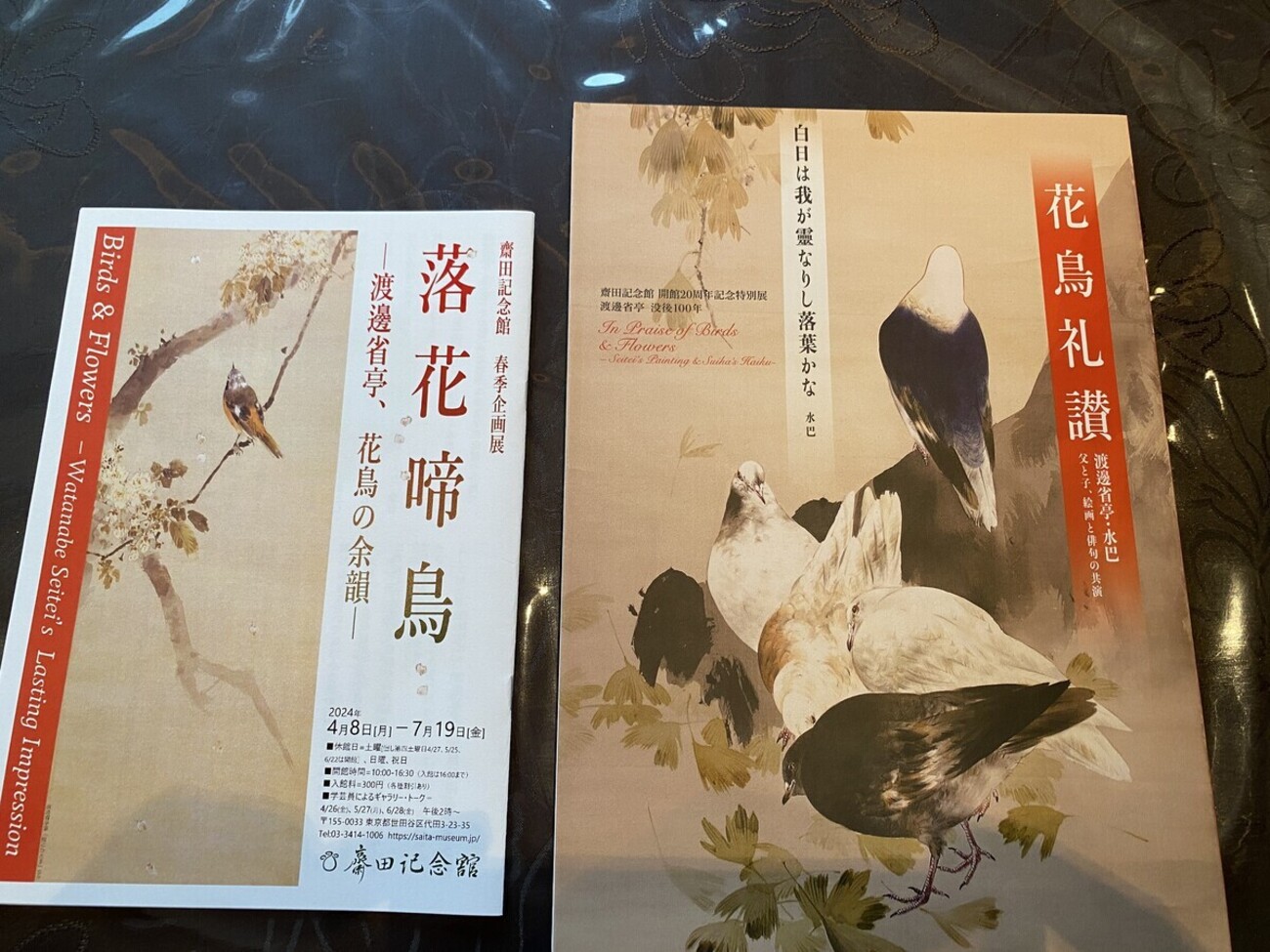 花鳥礼讃ー渡邊省亭・水巴（すいは） 父と子、絵画と俳句の競演ー 