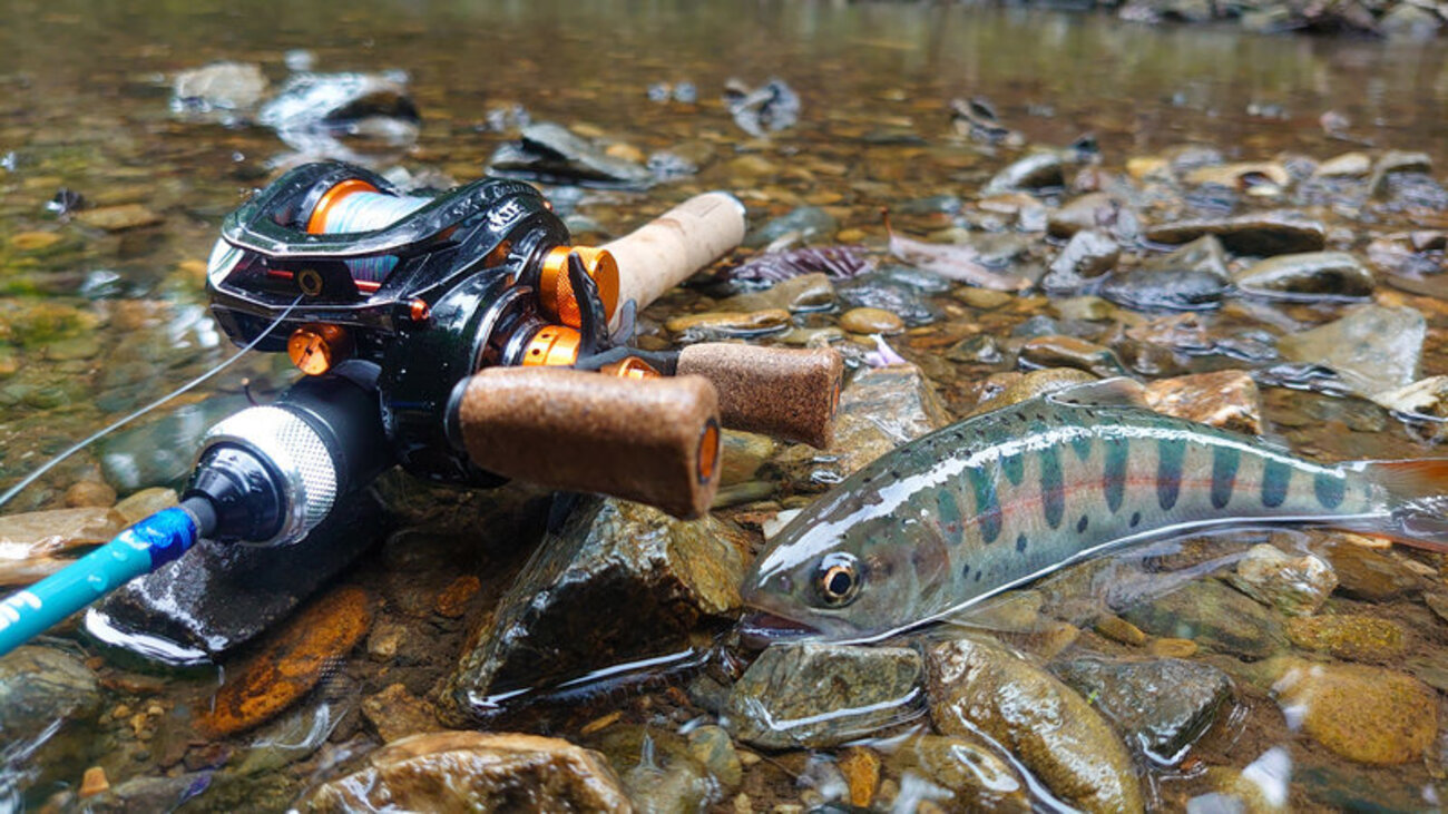 アブ　レボLTX(左巻き) アブガルシアAbuGarcia Revo LTX-BF8-L左巻き レボ レフト アブ