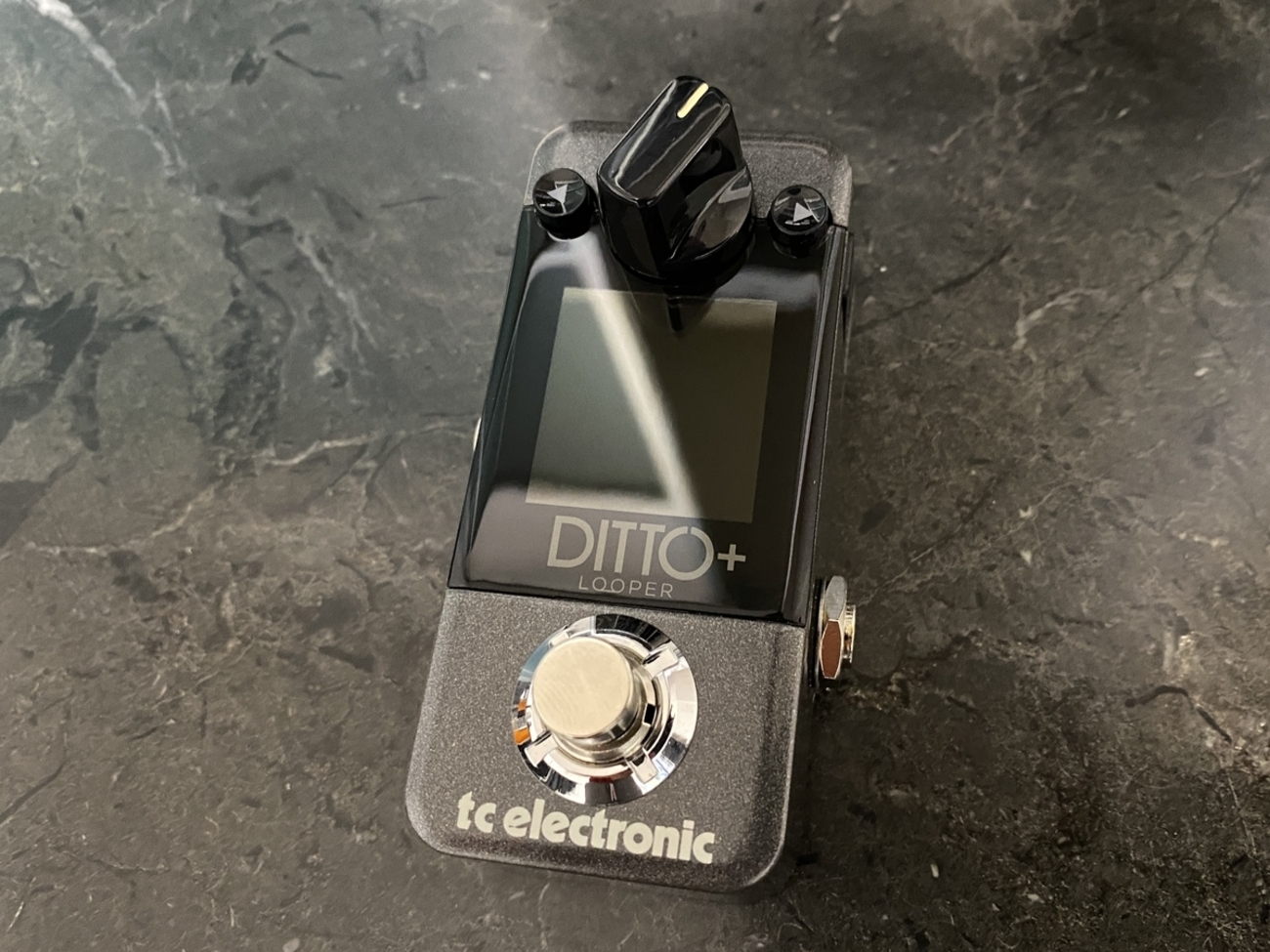 購入】tc electronic DITTO＋ LOOPER - FairWind-Weblog