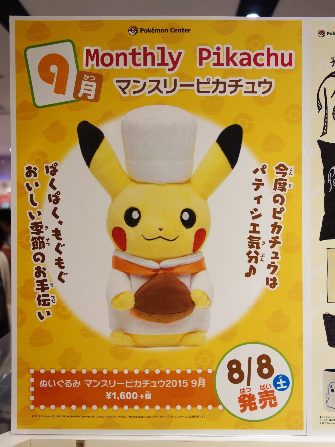 予告】ぬいぐるみ マンスリーピカチュウ2015 9月 (2015年8月8日(土 