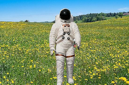 デイリー ミラーとは 一般の人気 最新記事を集めました はてな デイリー ミラーとは 一般の人気 最新記事を集めました はてな
