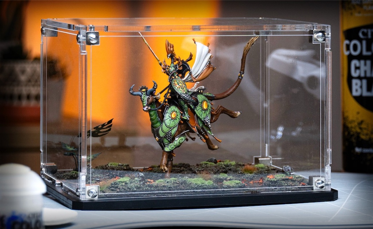 グッズ】オフィシャルライセンスディスプレイケース - たるいのウォー 