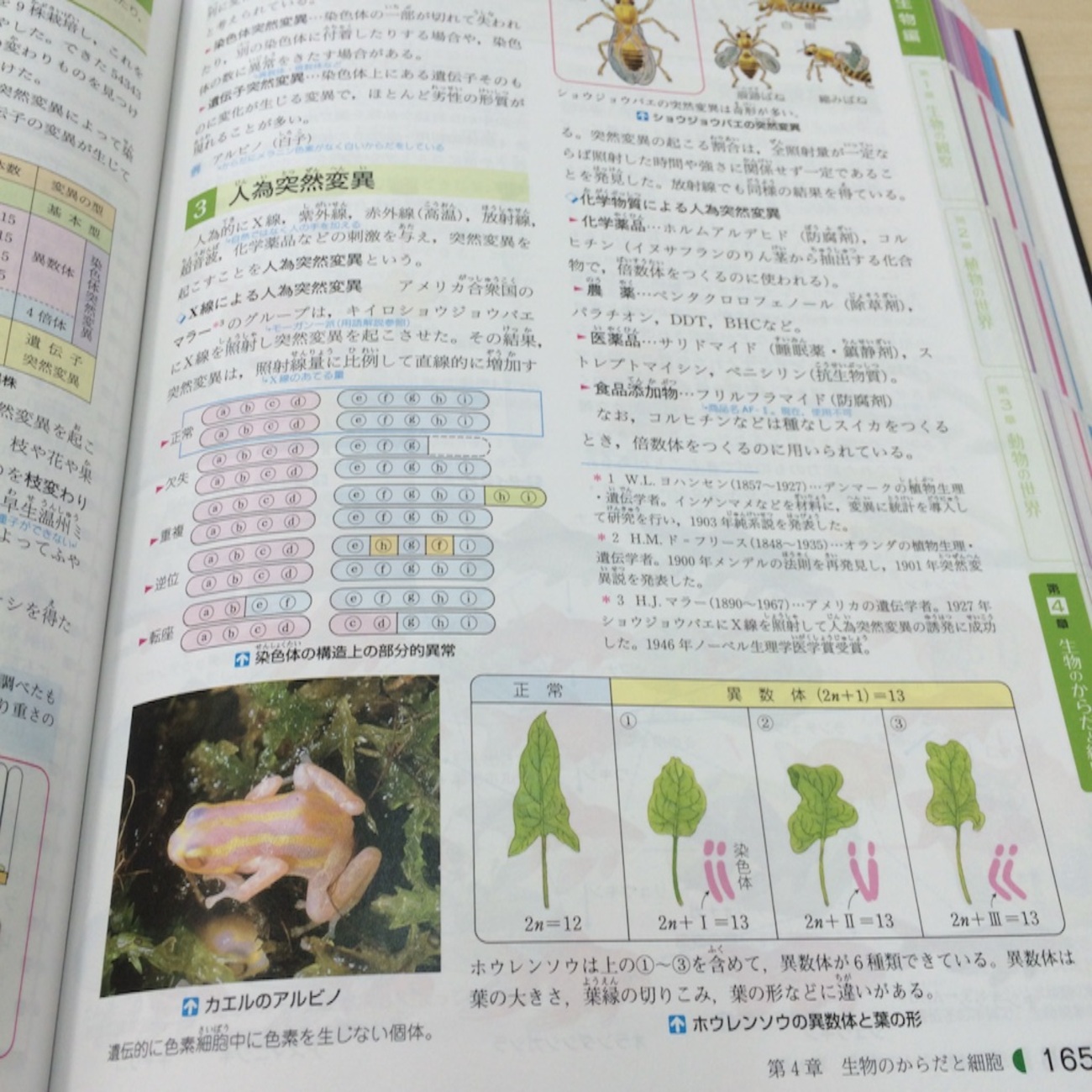 スーパー理科事典 五訂版 受験研究社 スーパー理科事典 五訂版：スーパー事典 - 小学生の方｜馬の