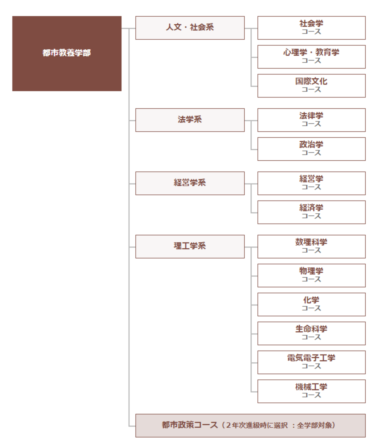 本/首都大学東京 文系 都市教養学部 〈人文社会系、法学系、経営学系