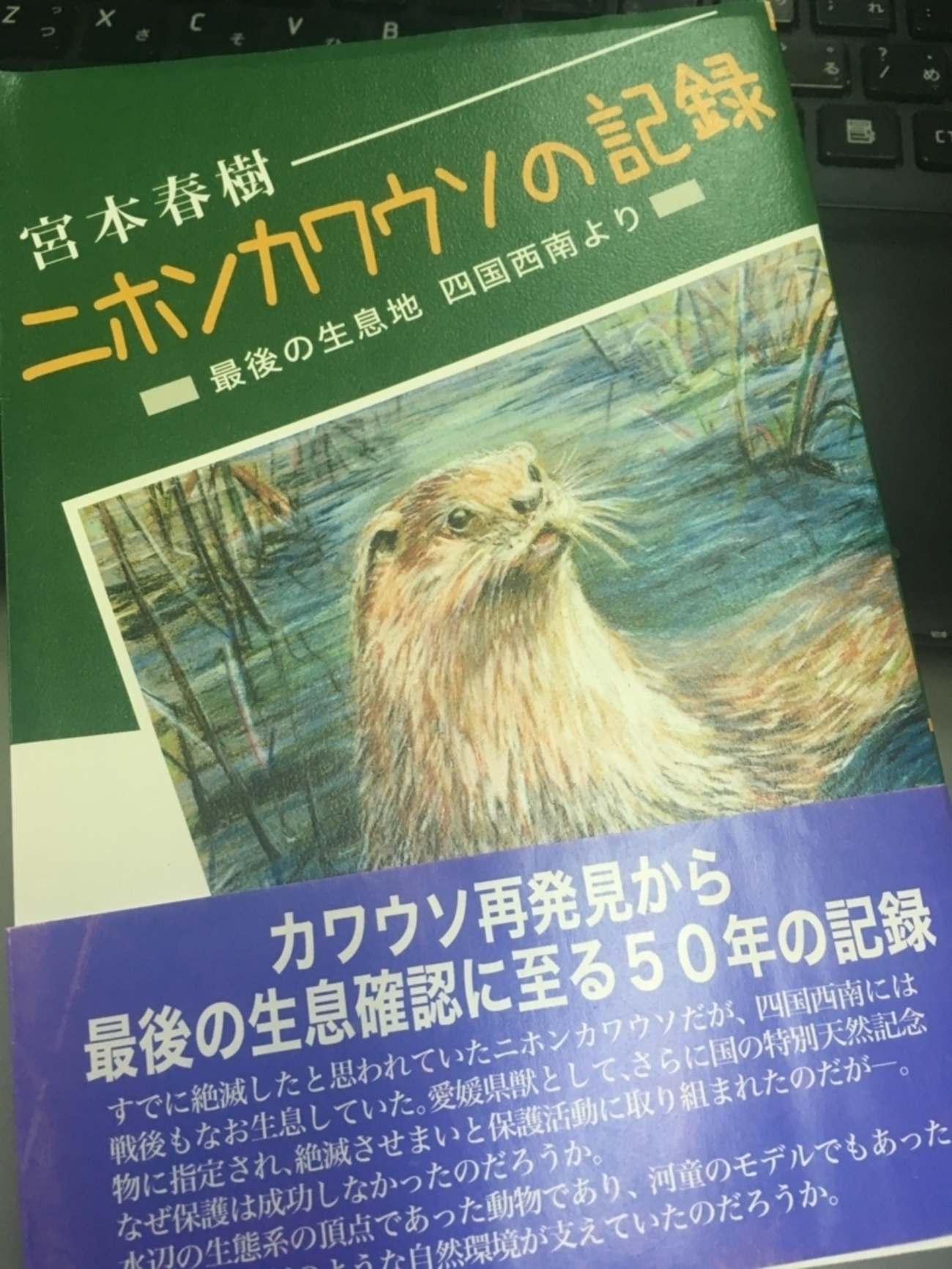 backend=imagemagick;version=1; 