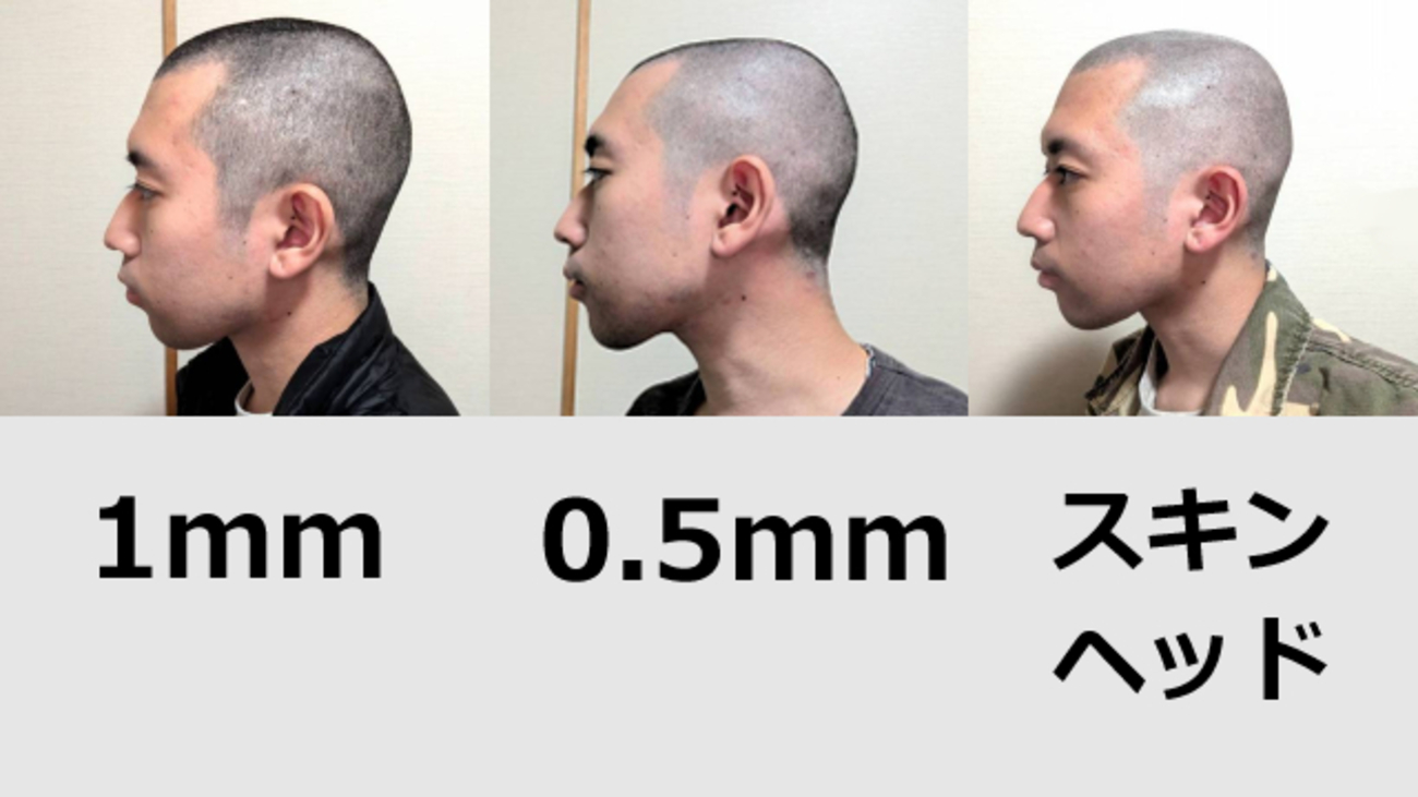 バリカン替え刃0.5ミリ1ミリ2ミリ