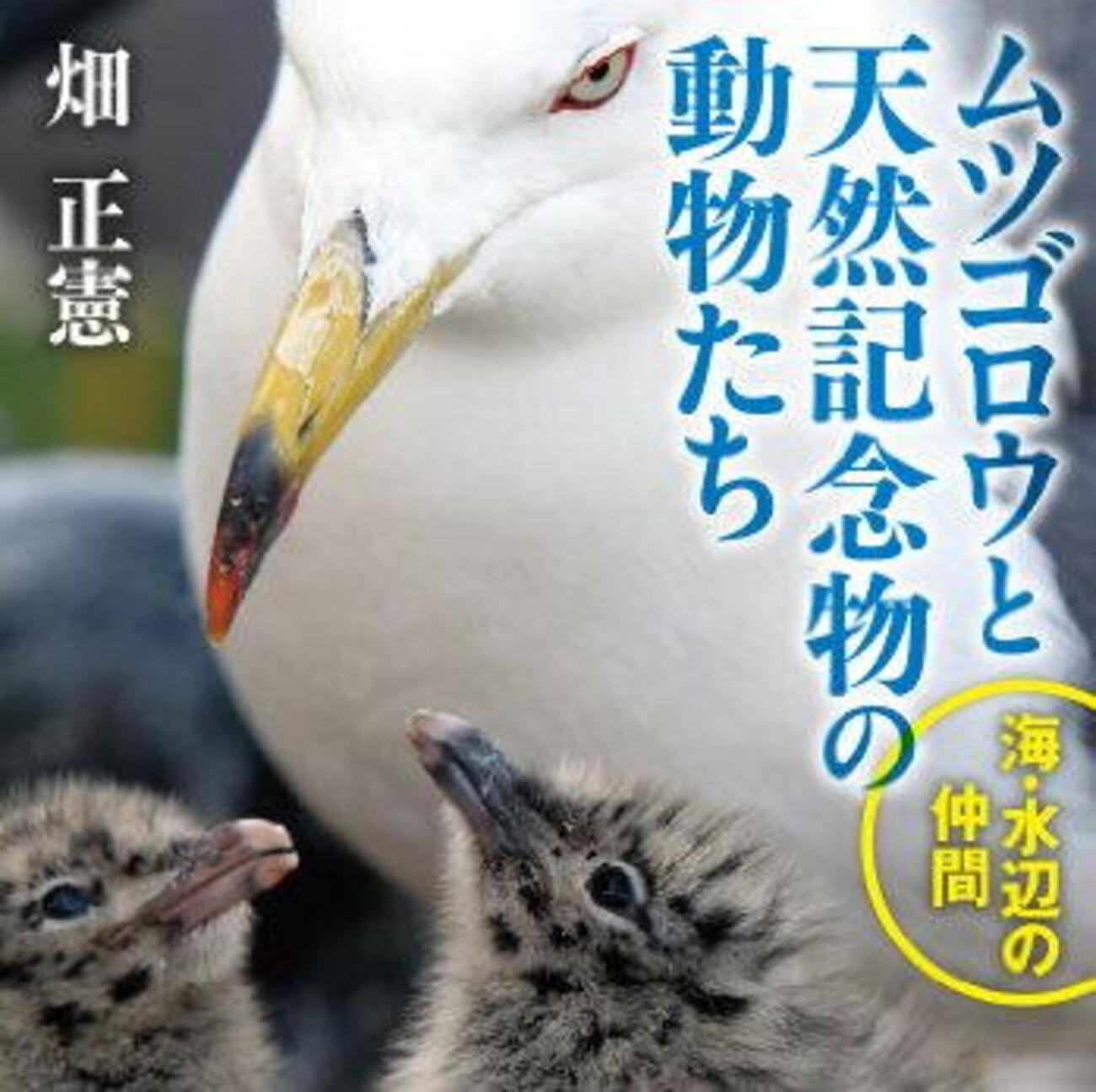 【中古】 中学生のためのショート・ストーリーズ ６/Ｇａｋｋｅｎ 中古】 中学生のためのショート・ストーリーズ 6/Gakken