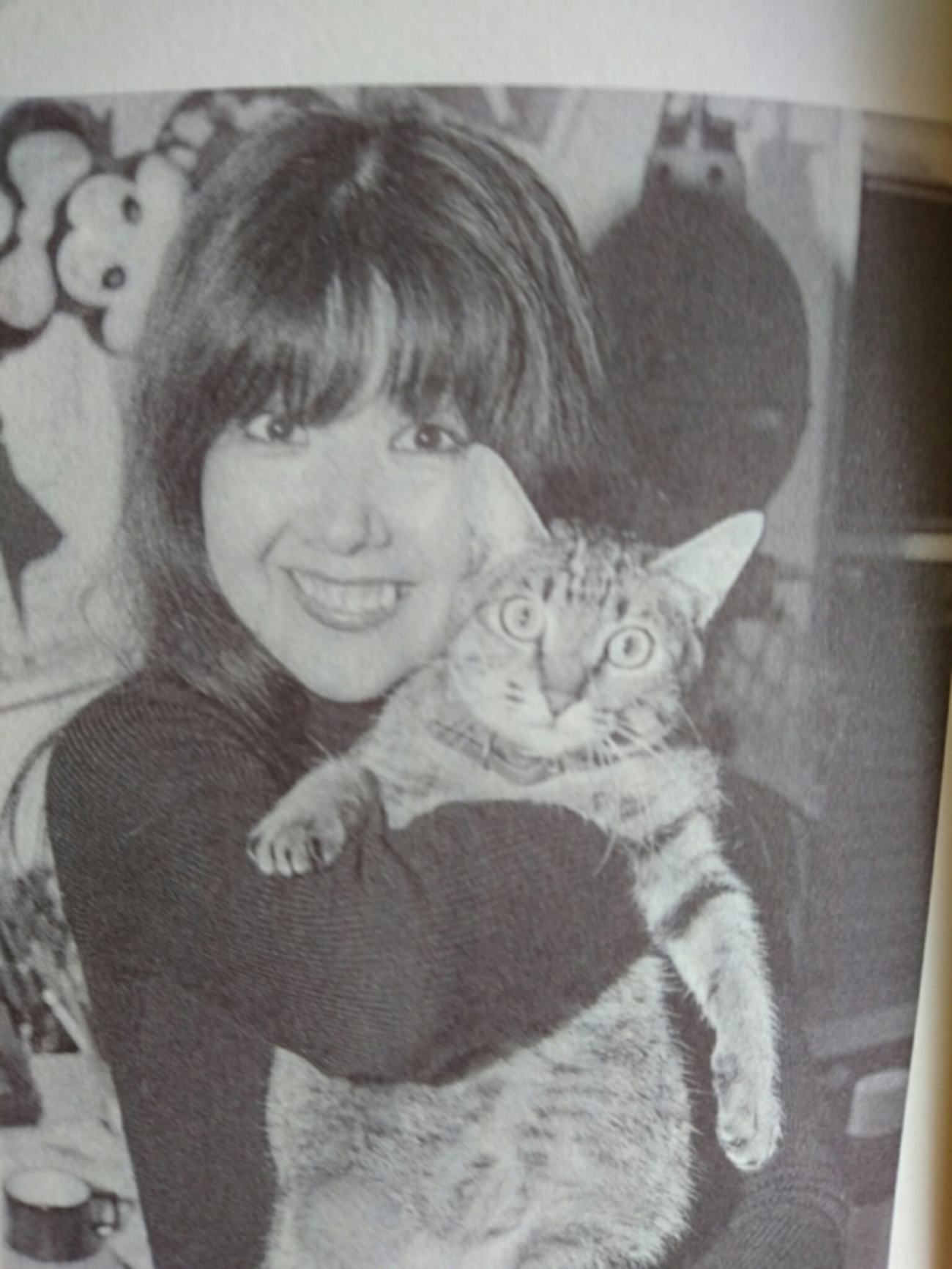 猫先輩二枚ブラックと白 71Ajdq87W6L.jpg