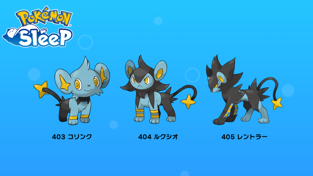 ポケモン - レントラー ルクシオ コリンク コリンク・ルクシオ・レントラーのグッズが、ポケモンセンターに