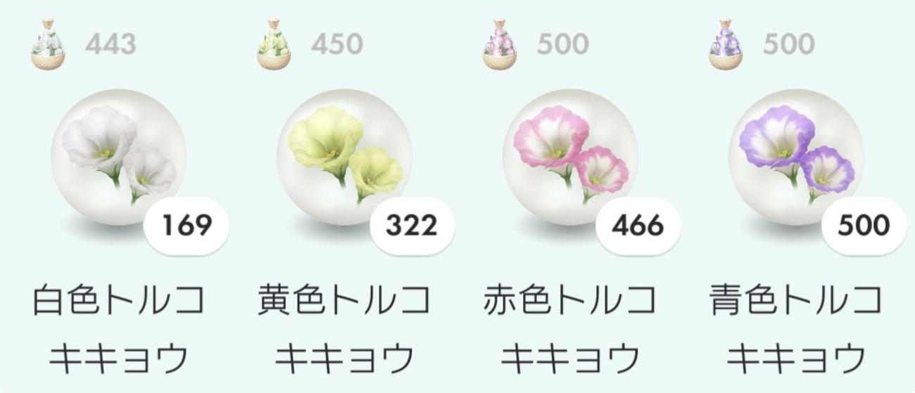 明日、明後日はトルコキキョウのコミュニティ・デイ