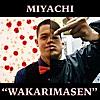 Wakarimasen