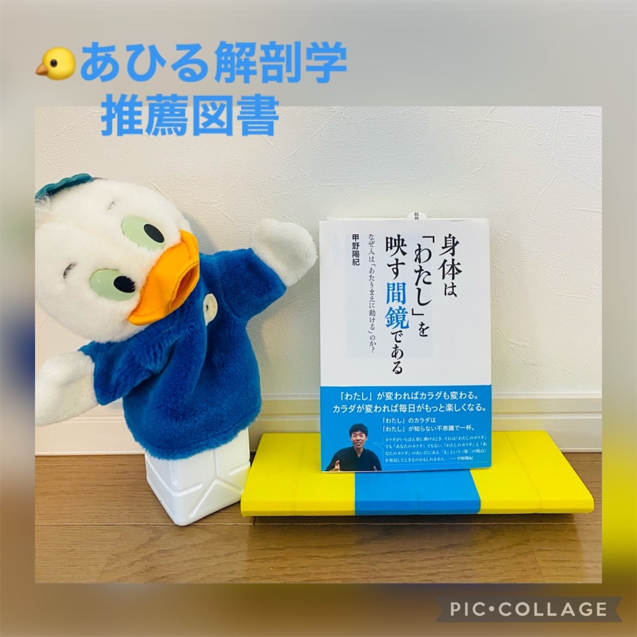 あひる解剖学推薦図書。 - eigonだって泳ぎたい あひる解剖学