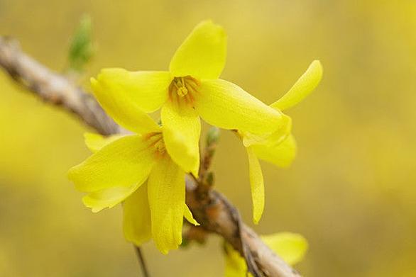 中古足場とは 人気 最新記事を集めました はてな