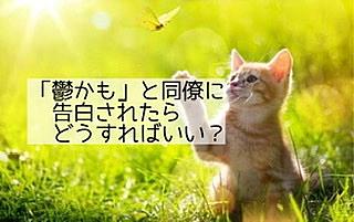 Uaゼンセンとは 社会の人気 最新記事を集めました はてな Uaゼンセンとは 社会の人気 最新記事を集めました はてな