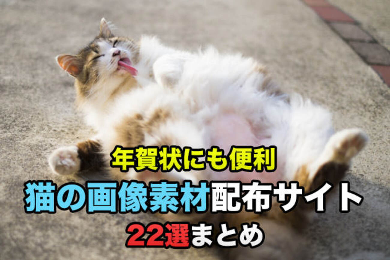 まとめ：年賀状にも便利！猫の画像素材を無料でダウンロードできるサイト22選だにゃー！ - おとなのらいふはっく