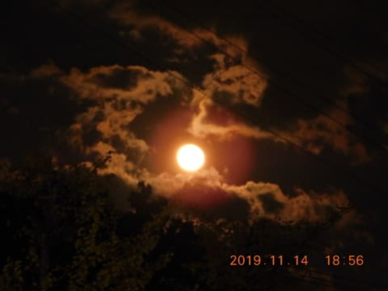 月が東から昇って来ました - felizmundo’s blog