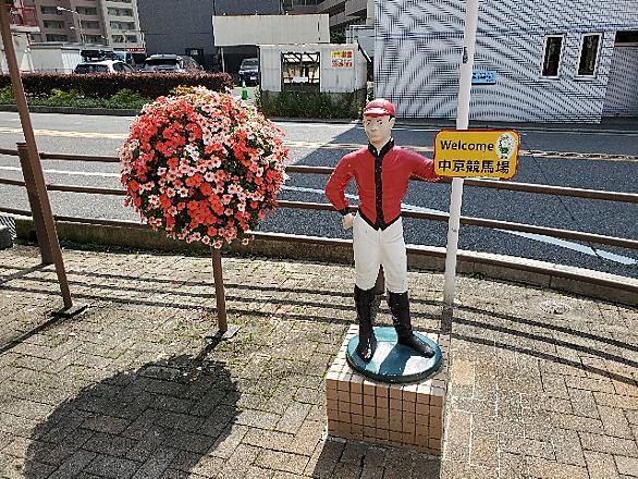 中京競馬場とは スポーツの人気 最新記事を集めました はてな