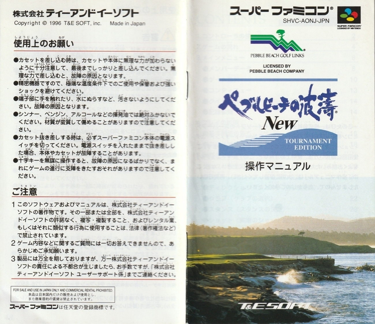 ペブルビーチの波濤 411oa4WJDqL._UF350,350_QL50_.jpg
