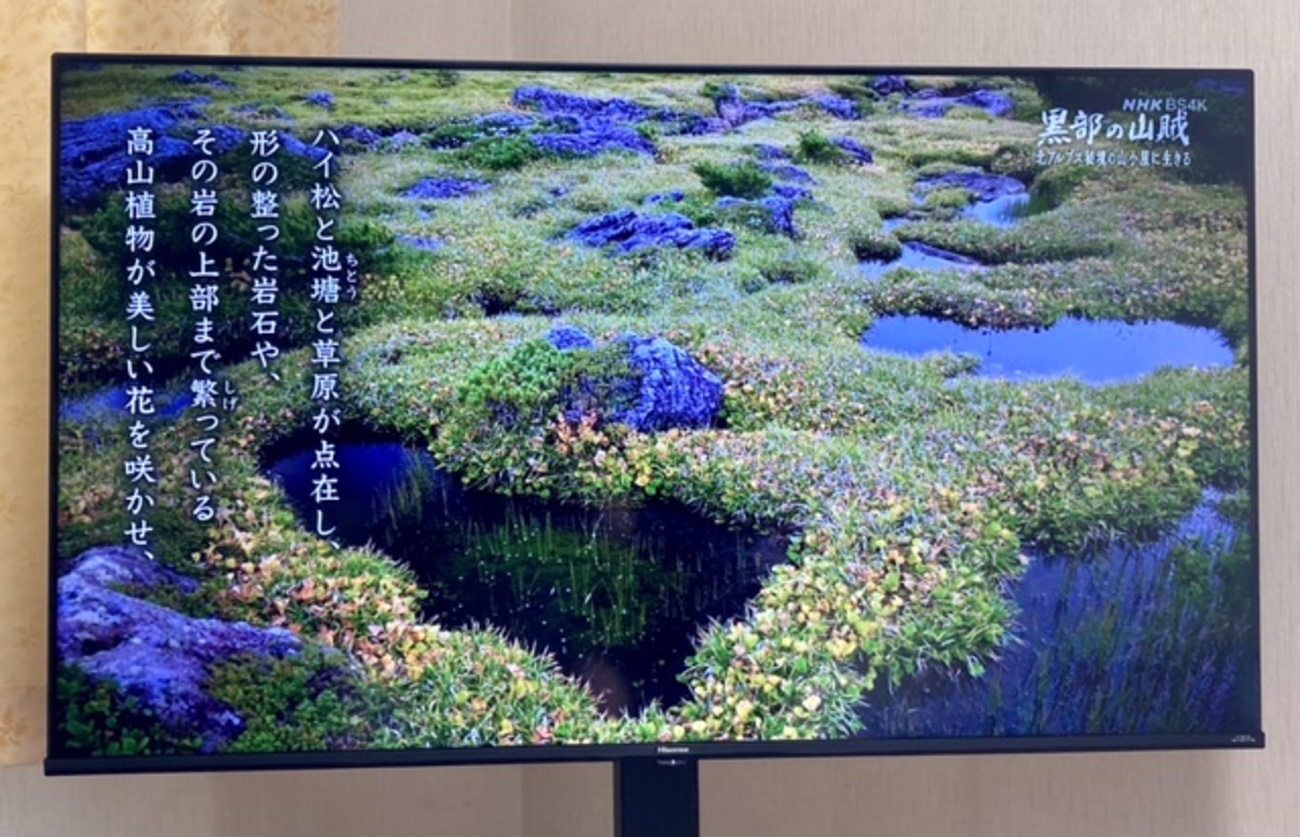 Hisense 50インチ4Kテレビ】結局テレビ買っちゃいました