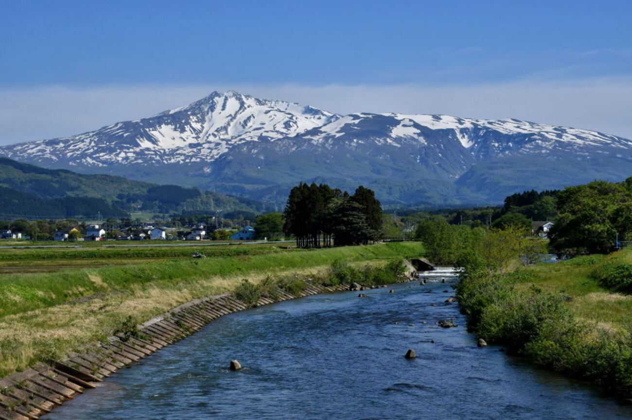 2026年5月6日、鳥海山（4）元滝鉾立編 - モウズイカの花紀行