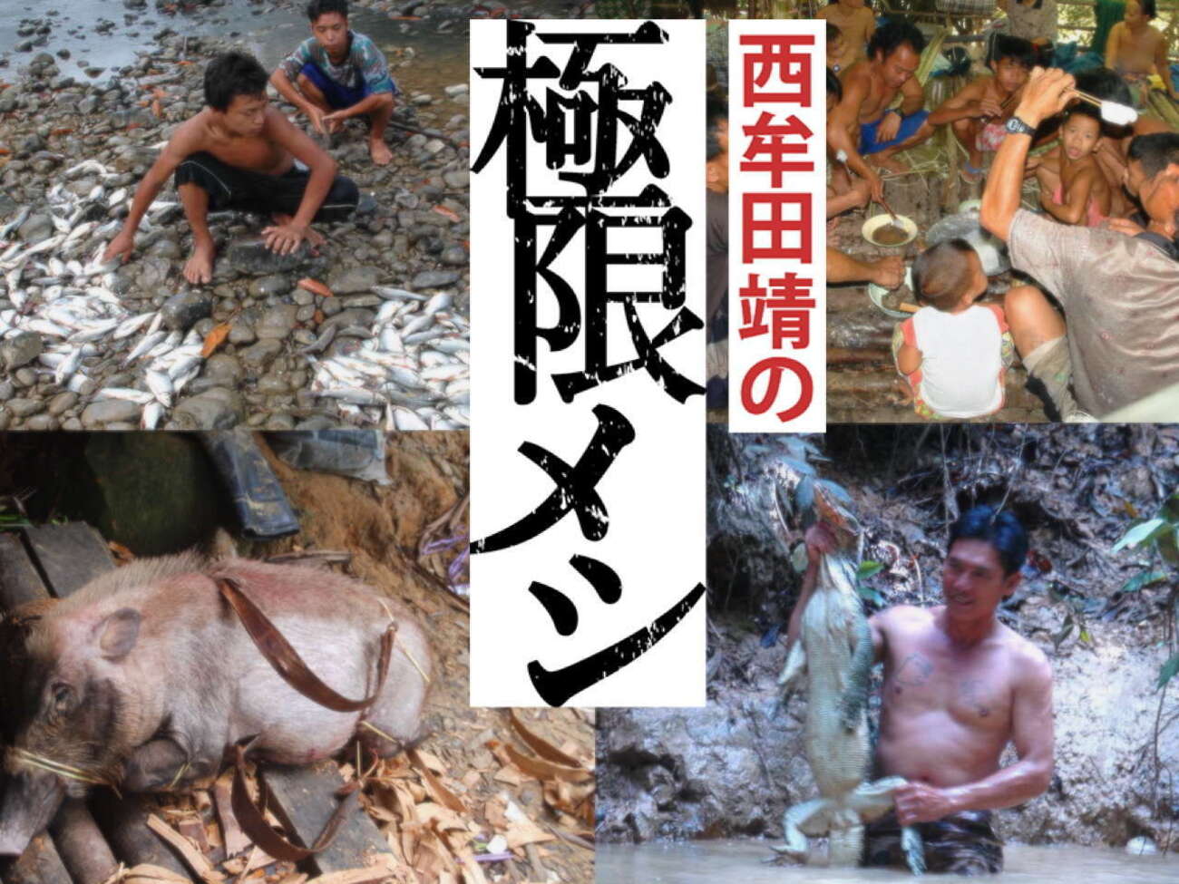 原住民女性sex 森の民と狩猟生活をともにした人類学者がどうしても食べられなかった「極上の獲物」とは【極限メシ】 - メシ通 | ホットペッパーグルメ