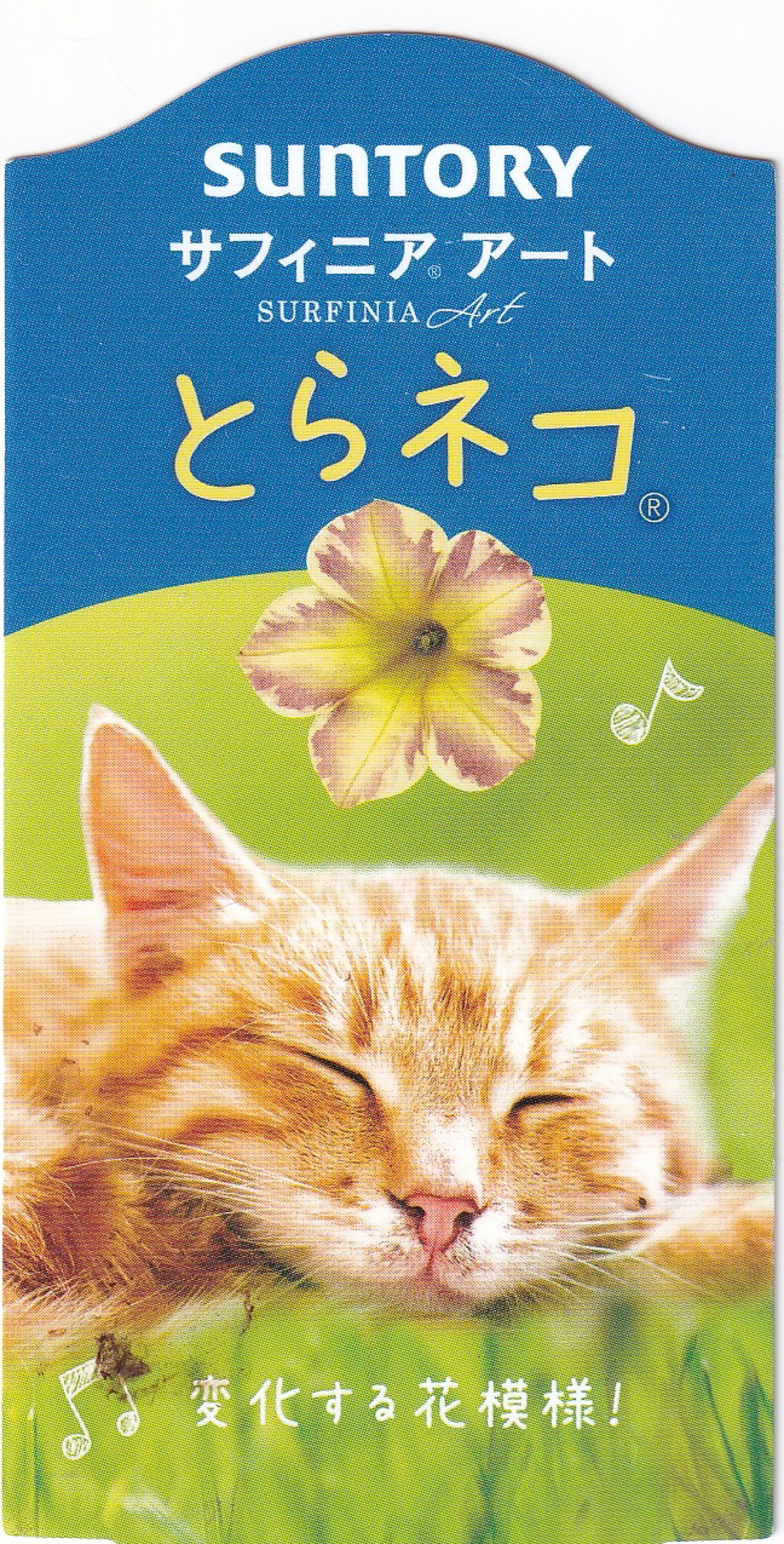な*な様 虎 トラ 猫 残響 ムラサキ 原画 1点物 (2024年11月) な*な様 虎 トラ 猫 残響 ムラサキ 原画 1点物 (2024年11