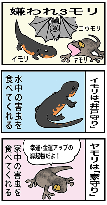 コウモリとは 動植物の人気 最新記事を集めました はてな