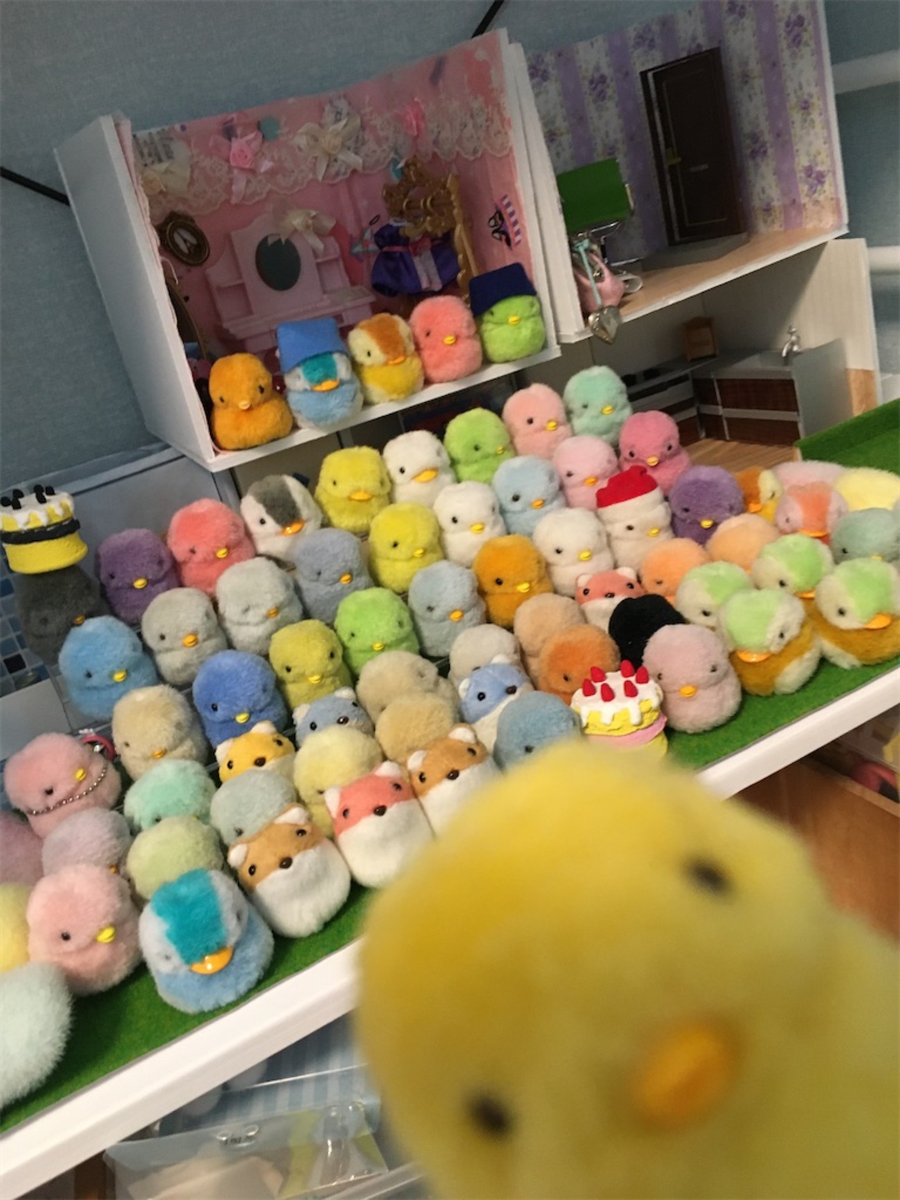 ゆびのりの世界へようこそ🐥 - ゆびのりピピ♪ピーラズ