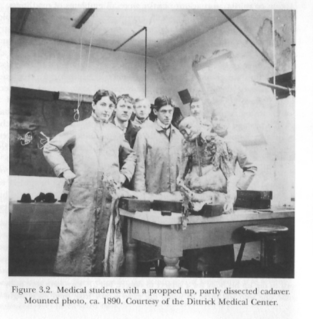 白人女性死体解剖写真 解剖学と19世紀アメリカの自己形成 - akihitosuzuki's diary
