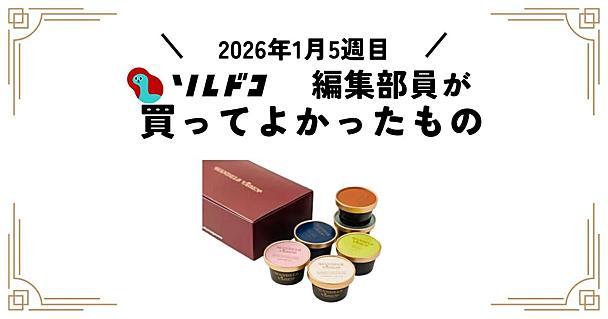 素材にこだわったハンデルスベーゲンの無添加アイスがすごい｜2026年1月（5週目）の編集部が買ってよかったもの