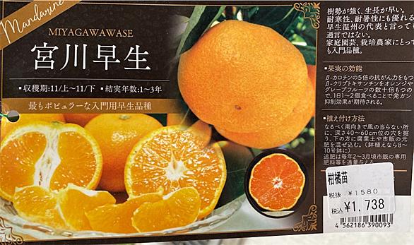 花もん屋とは 人気 最新記事を集めました はてな