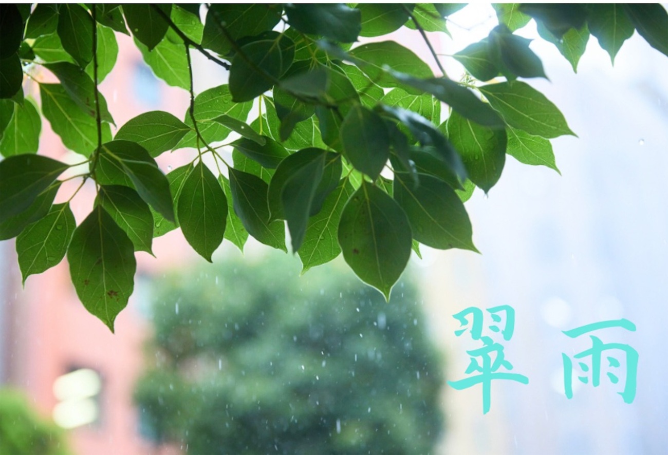 雨の名前 - offtonmofuの自主学習ノート