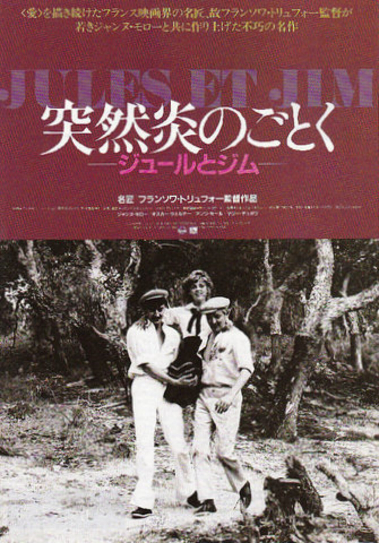 突然炎のごとく('94WOWOW/ヒルヴィラ) Amazon.co.jp: 突然炎のごとく [DVD] : ジャンヌ・モロー