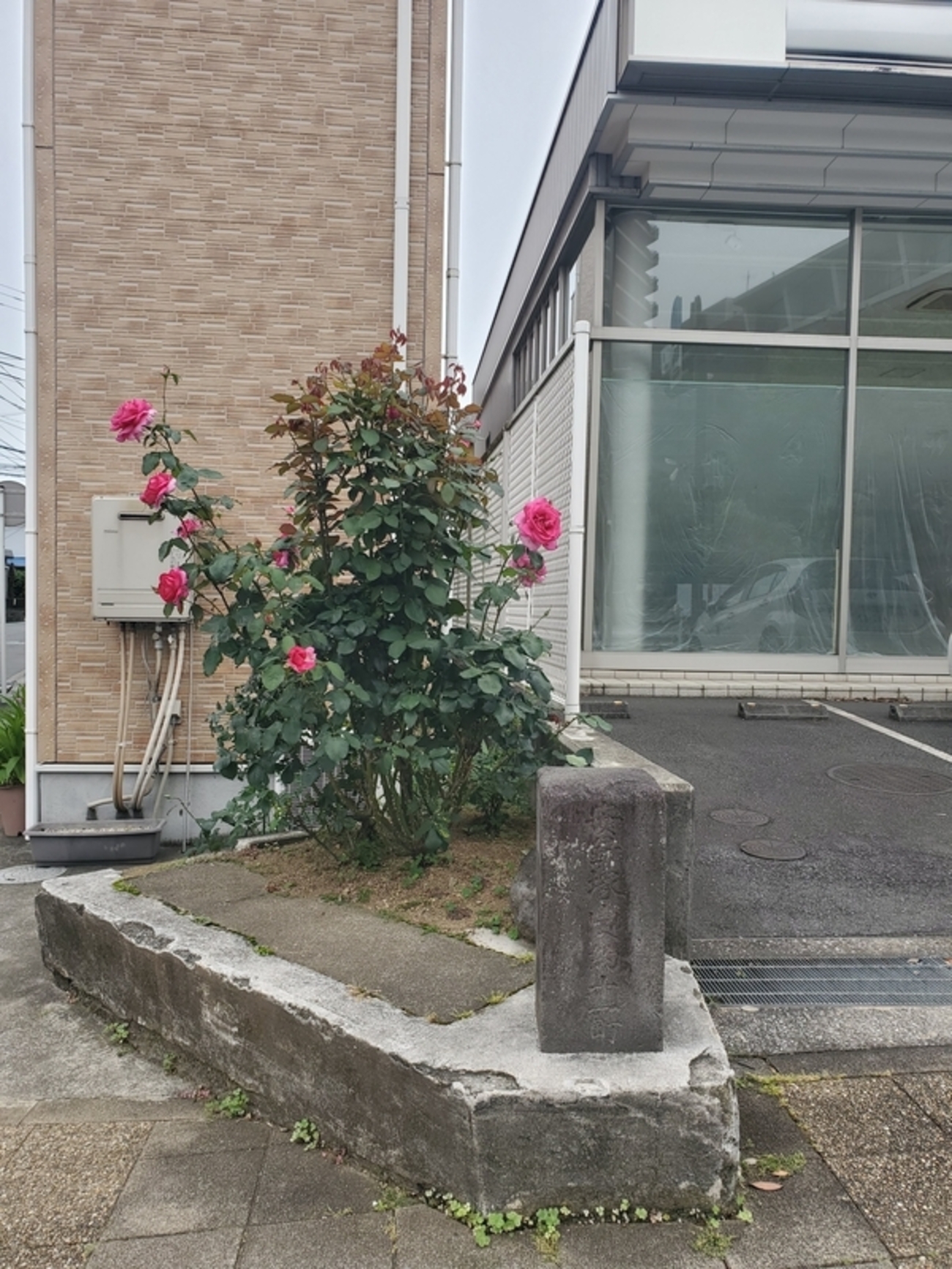 神奈川県横須賀市で発見した路上文化遺産 - 歩・探・見・感