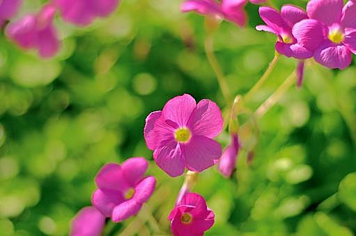 華道とは アートの人気 最新記事を集めました はてな 華道とは アートの人気 最新記事を集めました はてな