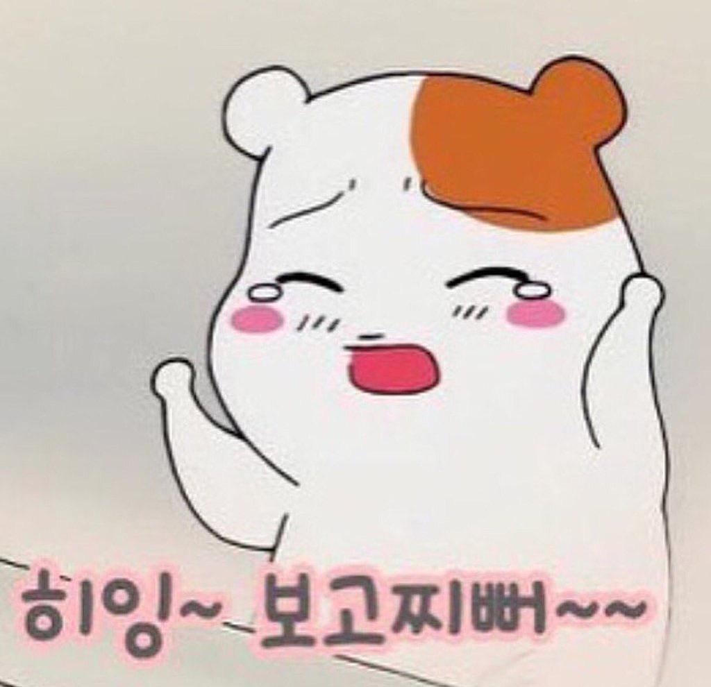 Ikonな毎日と時々韓国語