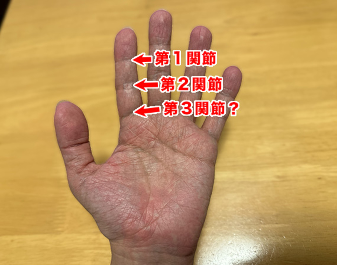 第 三 関節