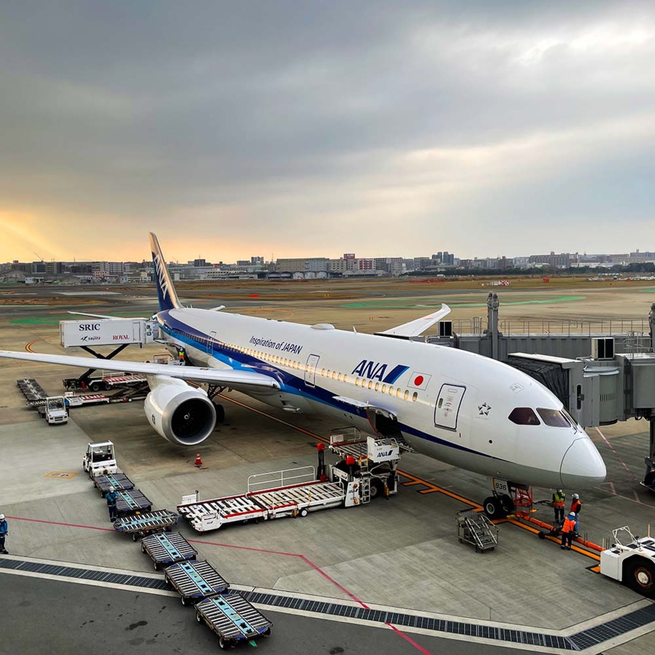 入手困難　ハセガワ１／２００ ＡＮＡＢ７８７−９ ＧＥエンジン ハセガワ、1/200模型「ANA ボーイング 787-9 （GEエンジン）」を