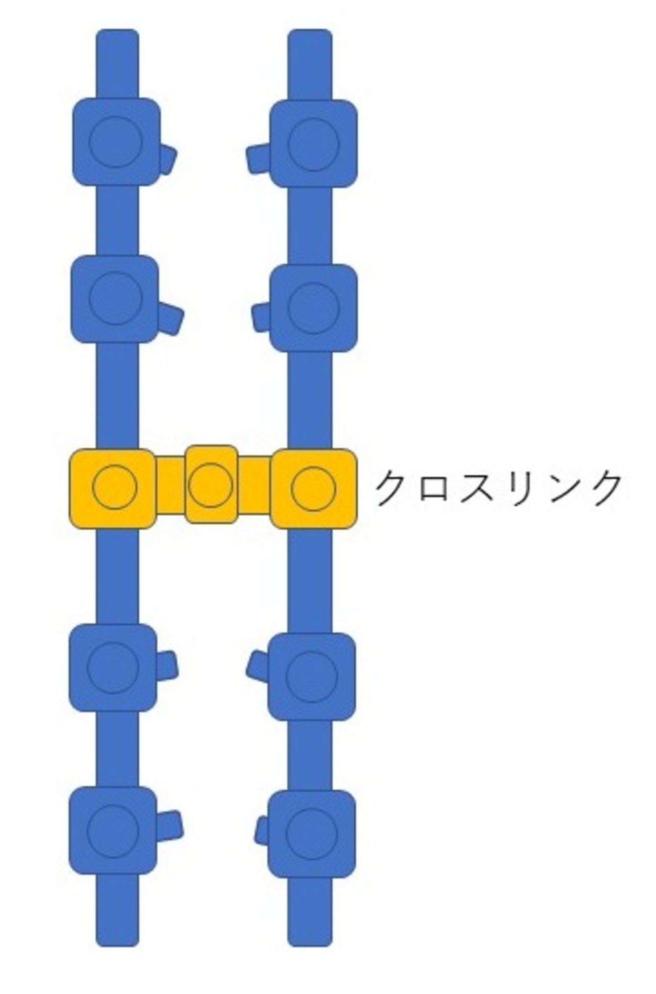 クロスリンク(cross-link)は有用か？ - 