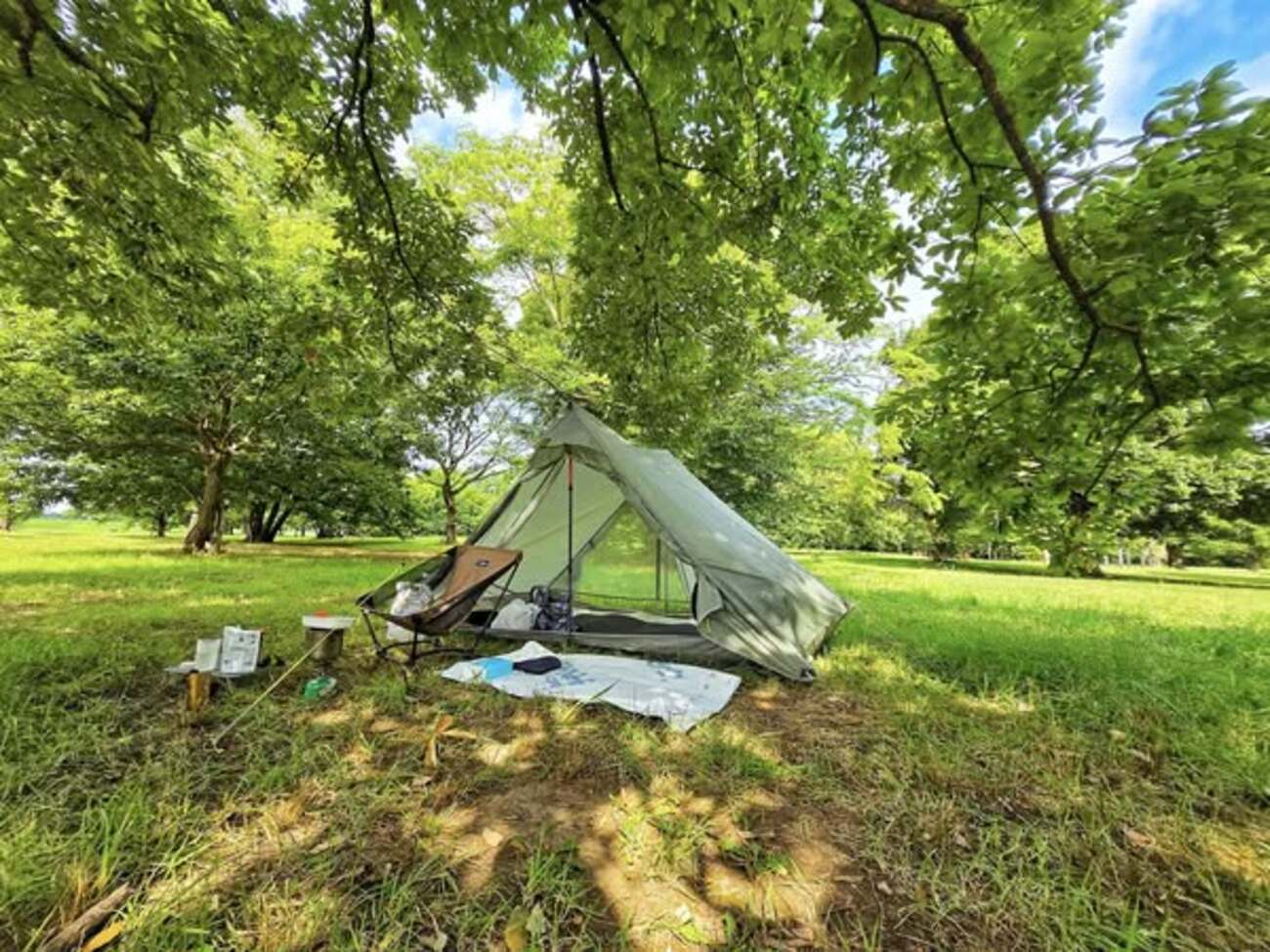 backend=imagemagick;version=1;