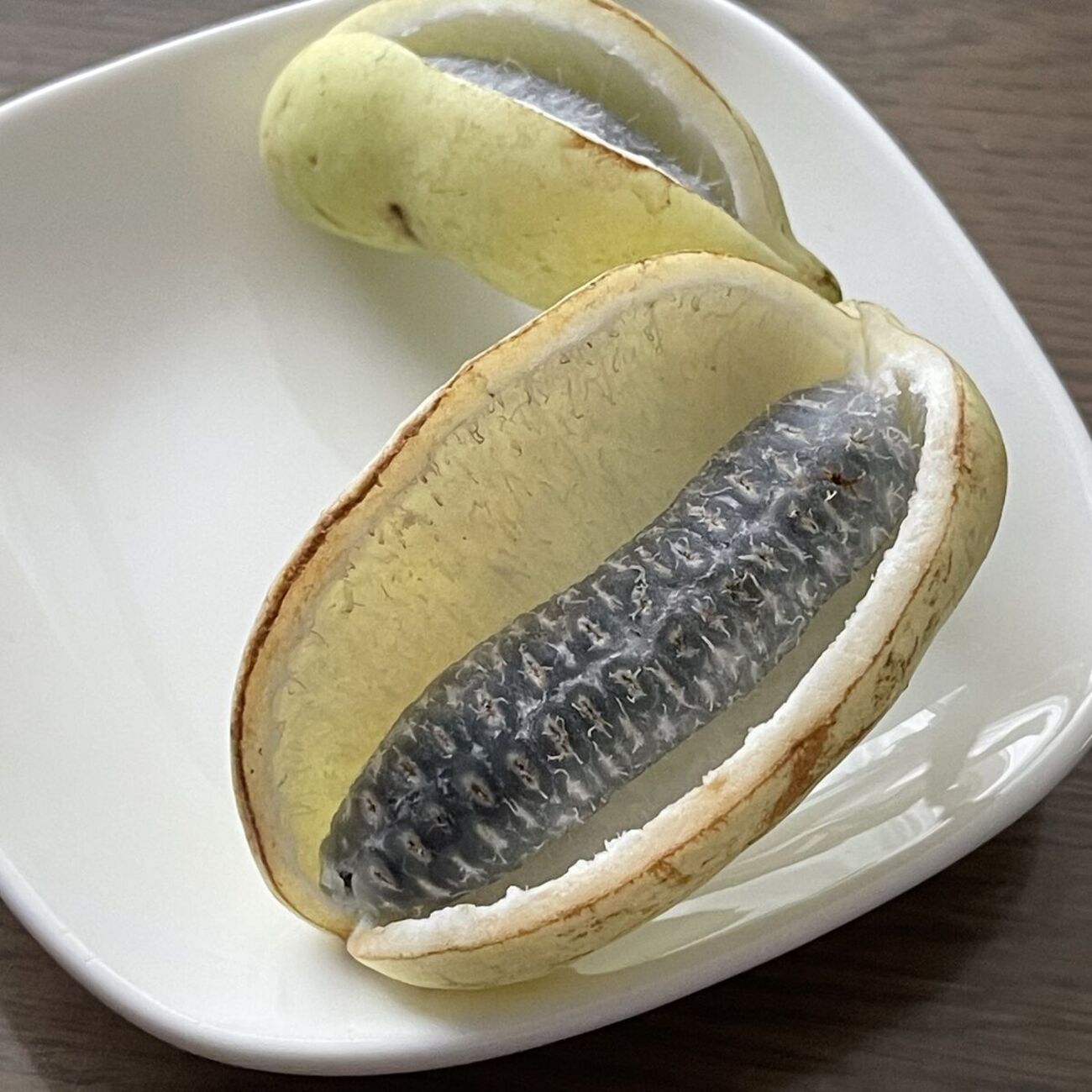 backend=imagemagick;version=1;